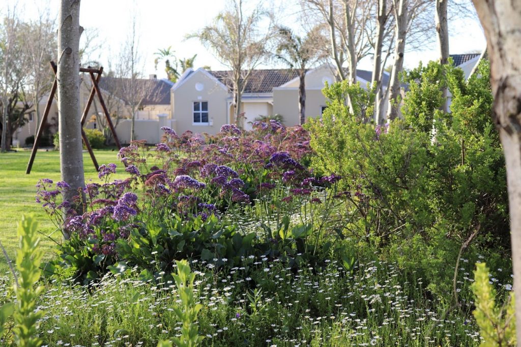 to the Pinehurst Portal Pinehurst Portal